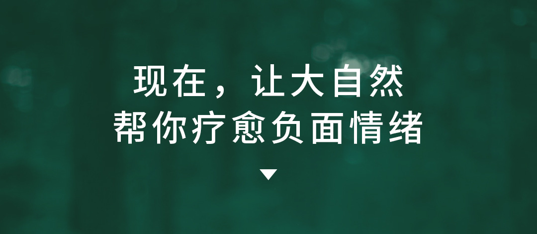 礼品定制，成都礼品，成都礼品定制，几光自然情景音箱礼品定制