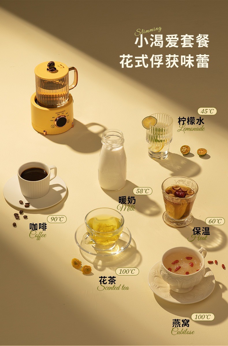 大宇办公室养生杯